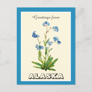 Vintage Hälsning från Alaska Glöm mig inte Vykort