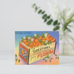 Vintage Hälsning från Florida Citrus Fruit Helg Vykort
