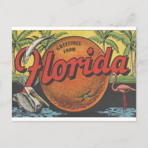 Vintage Hälsning från Florida med orange Vykort