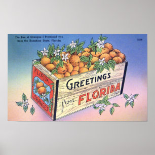 Vintage Hälsning från Florida Oranges Travel Poster