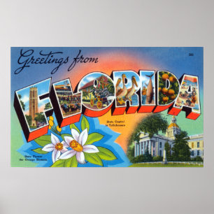 Vintage Hälsning från Florida Poster