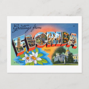 Vintage Hälsning från Florida Poster Vykort