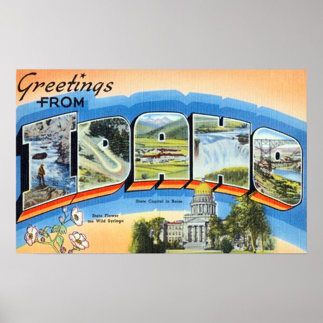 Vintage Hälsning från Idaho Travel Poster (Framsidan)