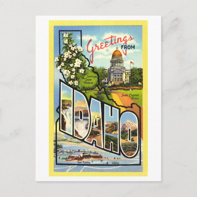 Vintage Hälsning från Idaho Vykort (Framsida)
