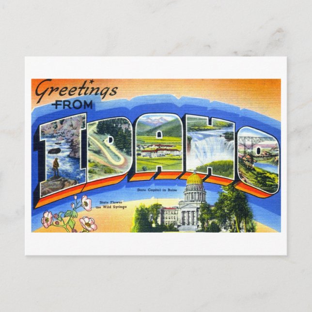 Vintage Hälsning från Idaho Vykort (Framsida)