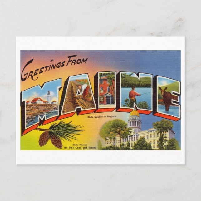 Vintage Hälsning från Maine Vykort (Framsida)