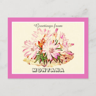 Vintage Hälsning från Montana Bitterroot Vykort