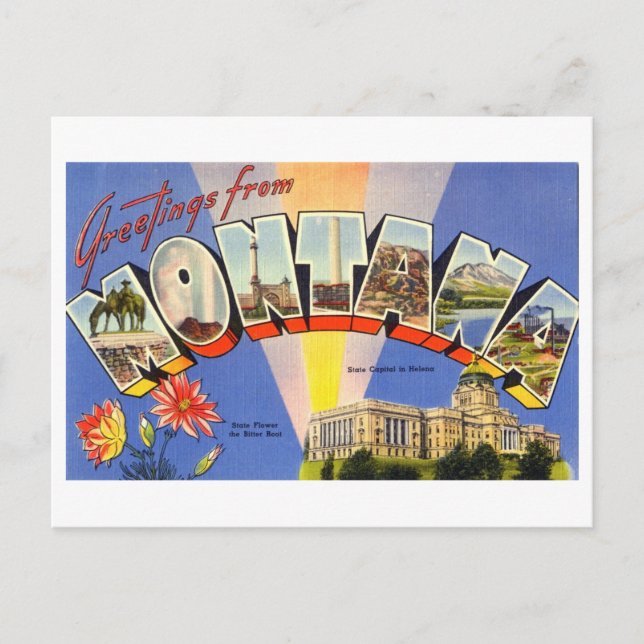 Vintage Hälsning från Montana Vykort (Framsida)