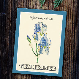 Vintage Hälsning från Tennessee Blue Iris Vykort