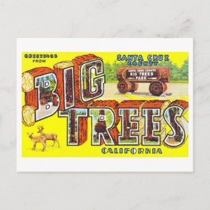Vintage Hälsningar från Big Trees, Kalifornien, Vykort