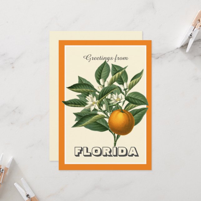 Vintage Hälsningar från Florida med apelsinfrukt  (Fram/Back In Situ)