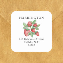 Vintage Hand Drawn Red Strawberry Returadress