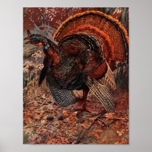Vintage Happy thanksgiving Turkiet Poster