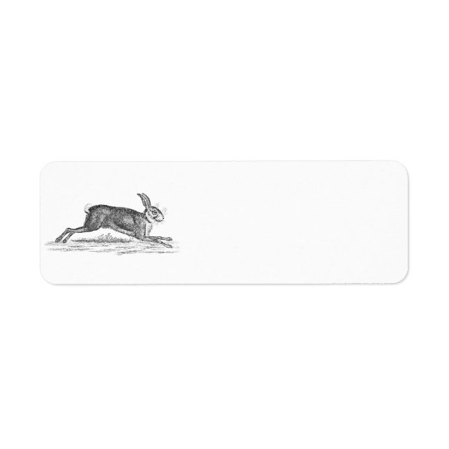 Vintage Hare Bunny Rabbit 1800s Illustration Returadress Etikett (Framsidan)