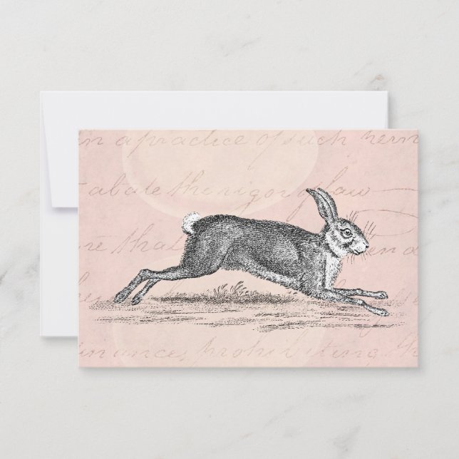 Vintage Hare Bunny Rabbit Illustration - Kaniner (Framsida)