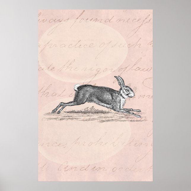Vintage Hare Bunny Rabbit Illustration - Kaniner Poster (Framsidan)