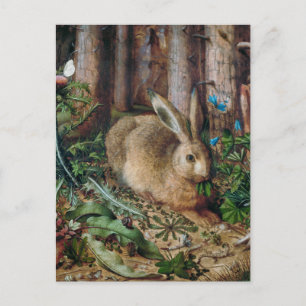 Vintage Hare i skogen - Hans Hoffmann Vykort