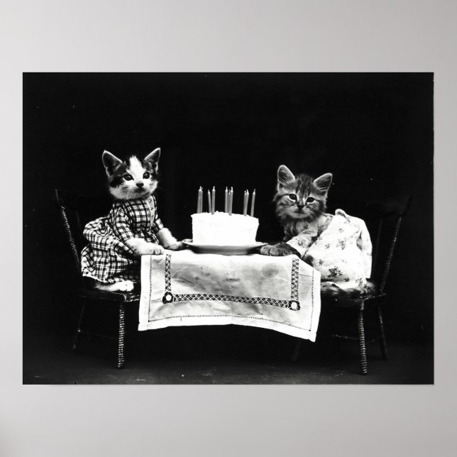 Vintage Harry Frees Funny Cats med födelsedagskumm Poster (Framsidan)