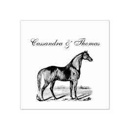 Vintage Häst Stående Stämpel