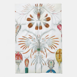 Vintage Havsdjur, Copepoda av Ernst Haeckel Kökshandduk