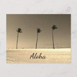 Vintage Hawaii Aloha Vykort