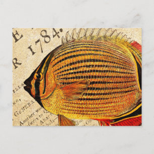 Vintage Hawaii Butterfly Fish Customized Antique Vykort
