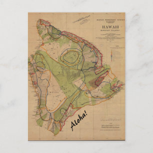 Vintage Hawaii Postcard Aloha Vykort