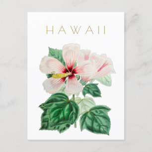 Vintage Hawaii-statens blomsterresa i mitten av år Vykort