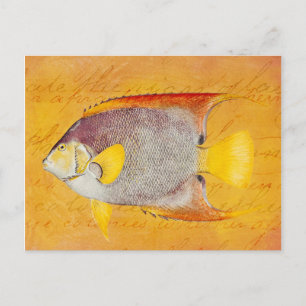 Vintage Hawaiian Angel Fish - Antique Hawaii Vykort