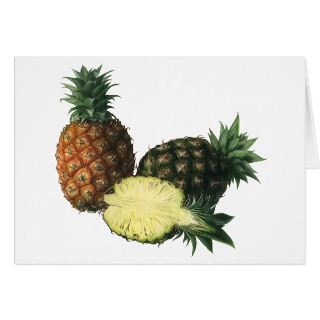 Vintage hawaiianska ananasar, ekologisk mat frukt hälsningskort (Framsidan Horizontal)