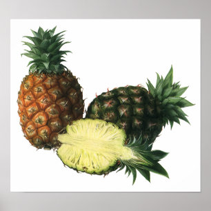Vintage hawaiianska ananasar, ekologisk mat frukt poster