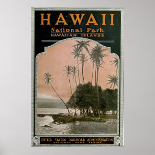 Vintage Hawaiis nationalpark Poster (1919)