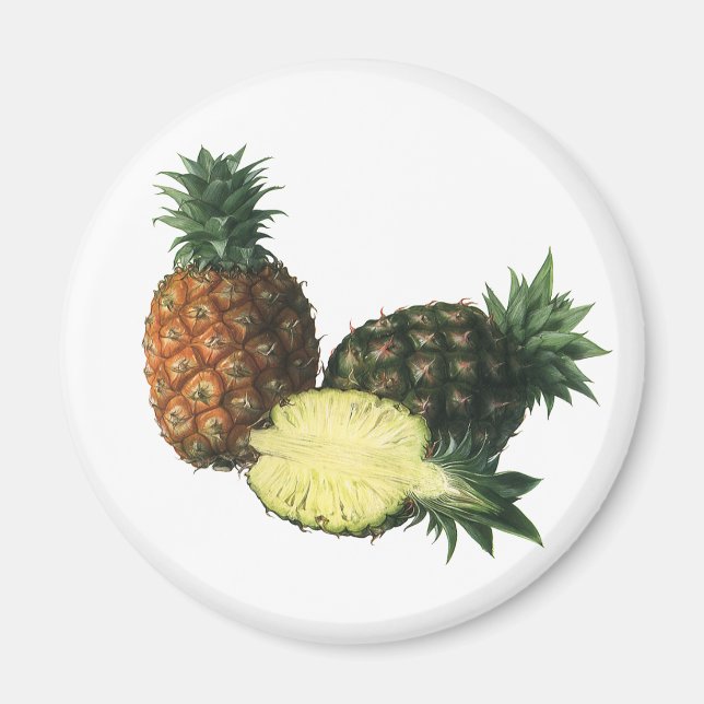 Vintage hawaiiska ananas, ekologisk livsmedelsfruk magnet (Framsidan)