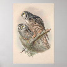 Vintage Hawk Uggla Bird