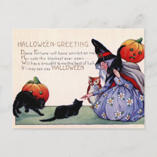 Vintage Häxa Svart Katt Uggla Halloween Postkort Vykort
