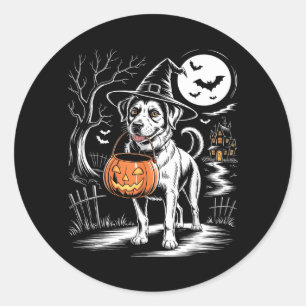 Vintage häxhund med pumpa läskig hund Halloween Runt Klistermärke