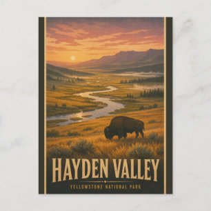 Vintage Hayden Valley Yellowstone nationalpark Vykort