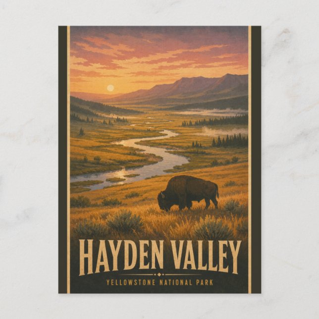 Vintage Hayden Valley Yellowstone nationalpark Vykort (Framsida)
