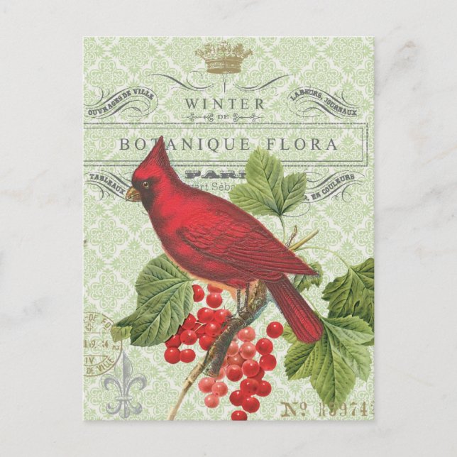Vintage Helgdag-vinterrött kardinalvykort Helg Vykort (Framsida)