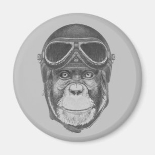 Vintage Helmet Chimpans Magnet