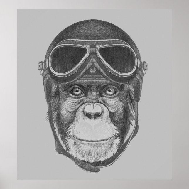 Vintage Helmet Chimpanzee Poster (Framsidan)