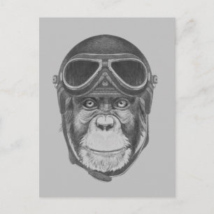 Vintage Helmet Chimpanzee Vykort