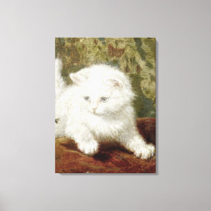 Vintage Henriette Ronner-Knip Curiousity Canvastryck