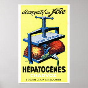 Vintage Hepatogenes Charvoz fransk medicinsk affis Poster