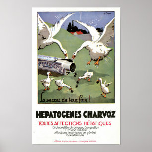 Vintage Hepatogenes Charvoz fransk medicinsk affis Poster