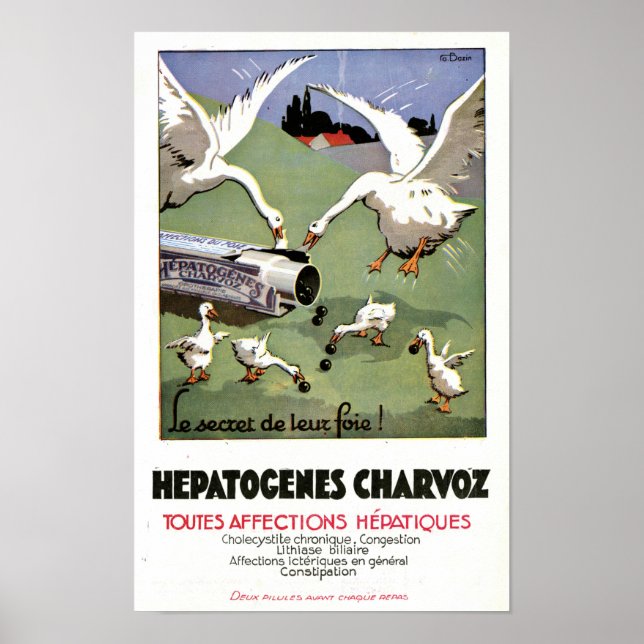 Vintage Hepatogenes Charvoz fransk medicinsk affis Poster (Framsidan)