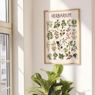 Vintage Herbarium Grön Växt Chart Väggkonst
