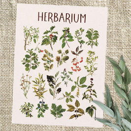 Vintage Herbarium Grönt Plant Chart Vykort