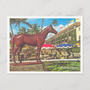 Vintage Hialeah Florida Vykort