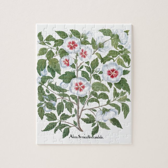 Vintage Hibiscus Flowers by Basilius Besler Pussel (Vertikal)